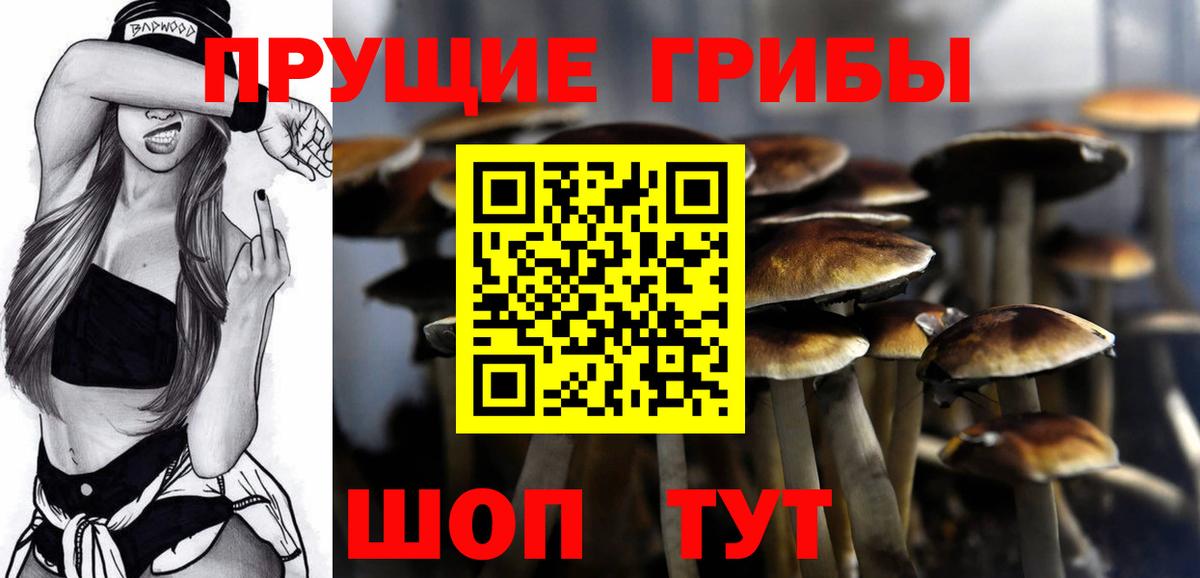 Менделеевск  Галлюциногенные грибы ЛСД  Вход с VPN 
